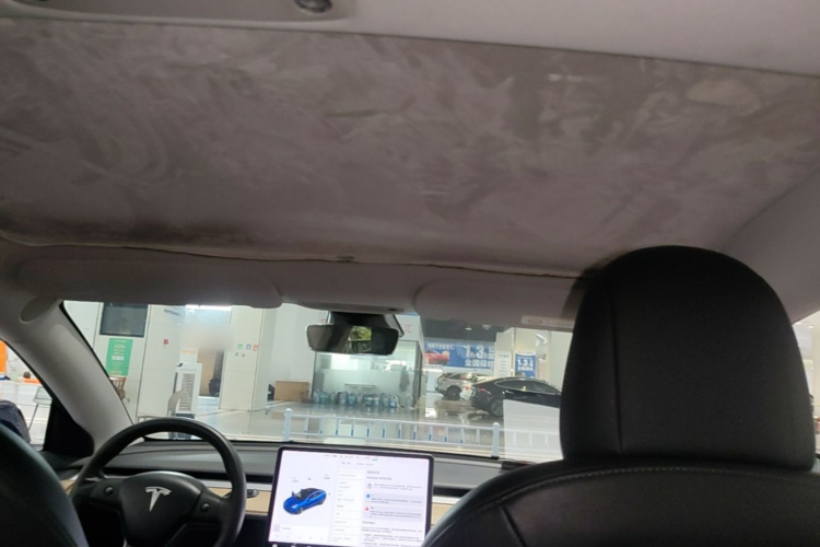 Tesla Model 3 2021 #18 Tesla Model 3 2021 car image #18