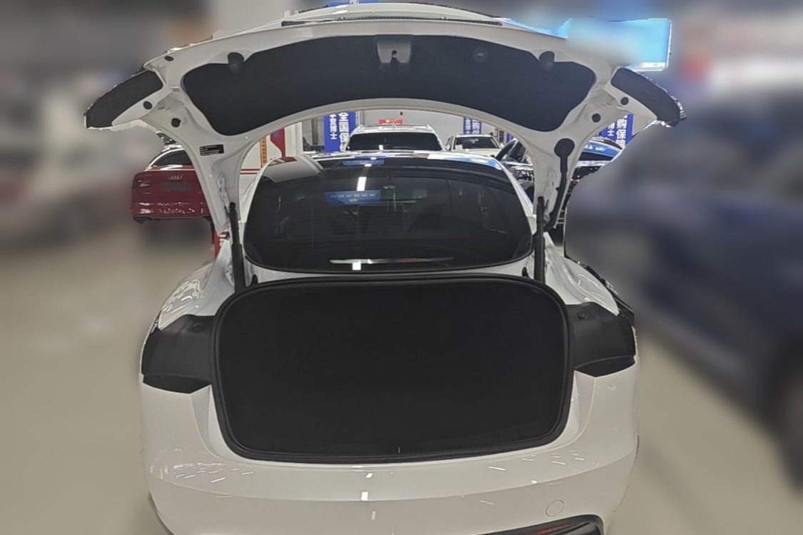 Tesla Model 3 2024 car image #5
