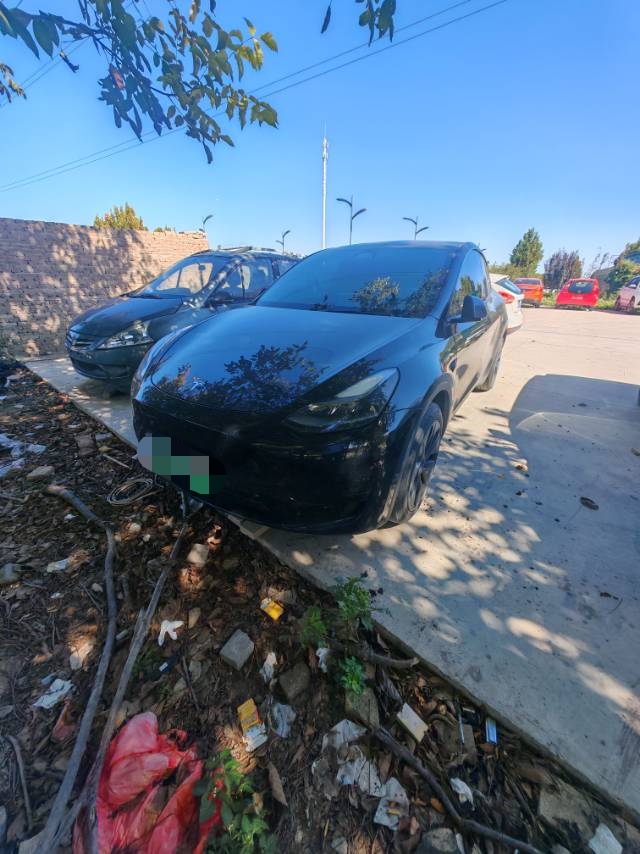 Tesla Model Y 2023 car image 