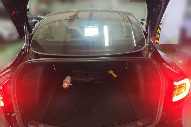 Tesla Model 3 2020 car image #21
