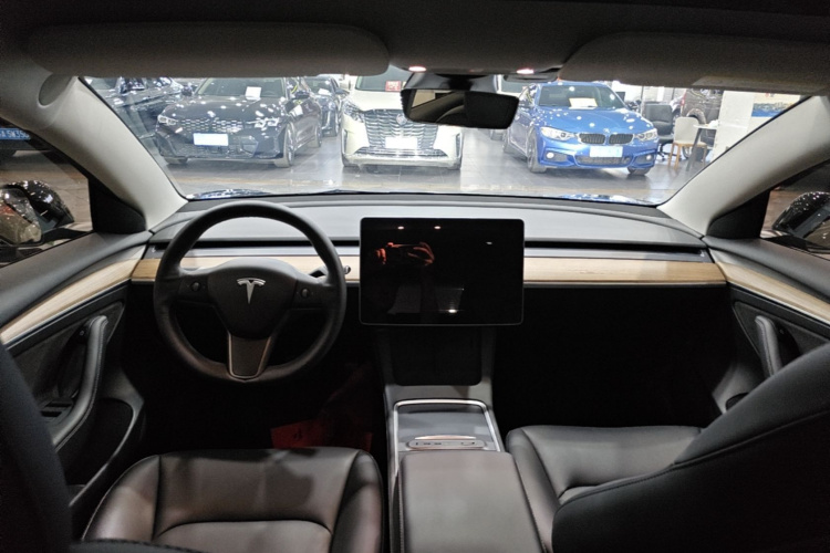 Tesla Model 3 2021 car image #10