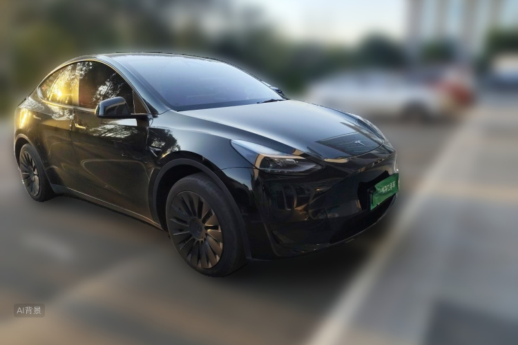 Tesla Model Y 2023 car image #4