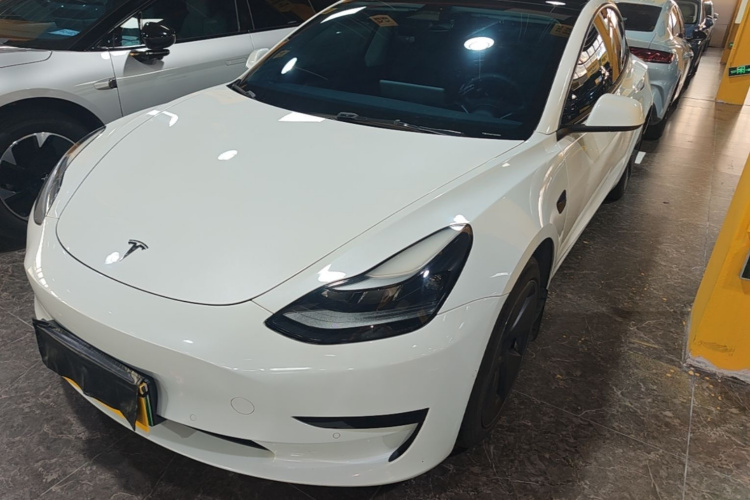Tesla Model 3 2021 #2 Tesla Model 3 2021 car image #2