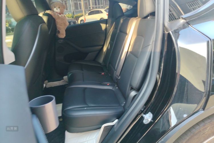 Tesla Model Y 2023 #19 Tesla Model Y 2023 car image #19
