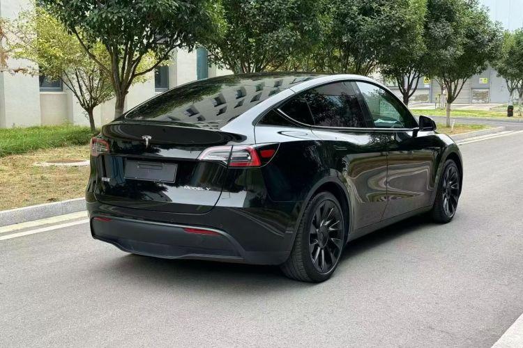 Tesla Model Y 2023 #7 Tesla Model Y 2023 car image #7