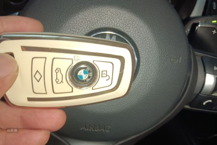 BMW 3 Series 2019 car image #10