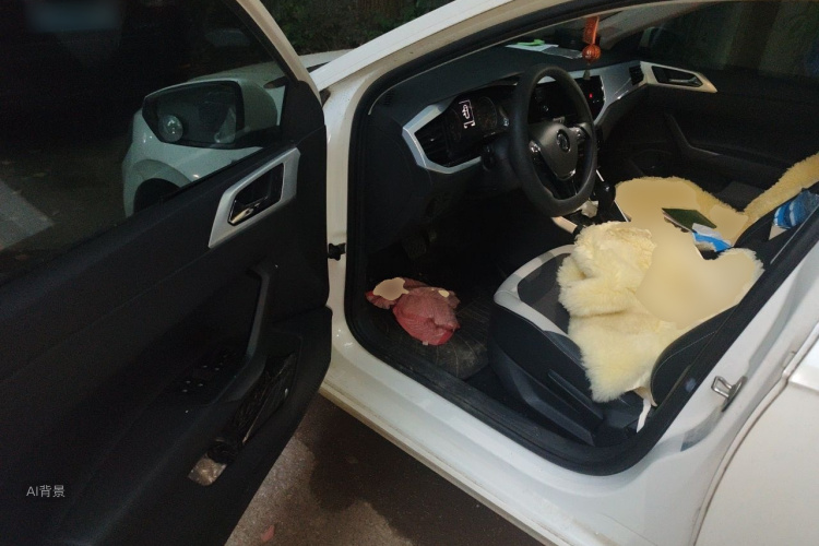 Volkswagen Polo 2021 car image #18