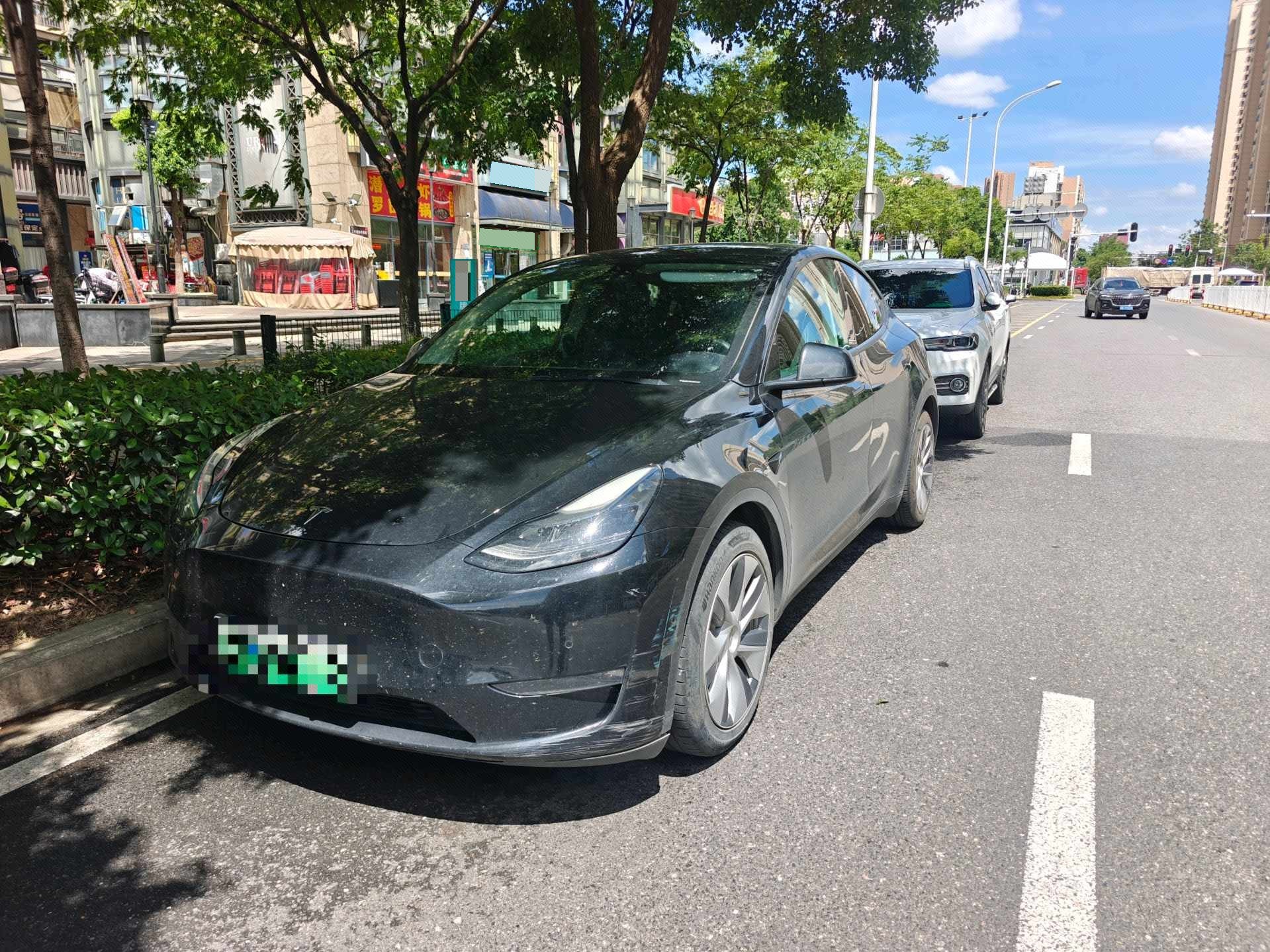 Tesla Model Y 2022 car image 