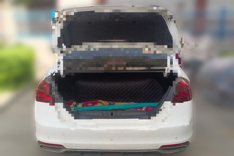 GEELY Emgrand 2019 car image #21