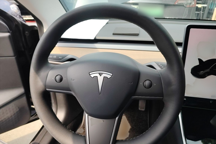 Tesla Model 3 2020 #15 Tesla Model 3 2020 car image #15