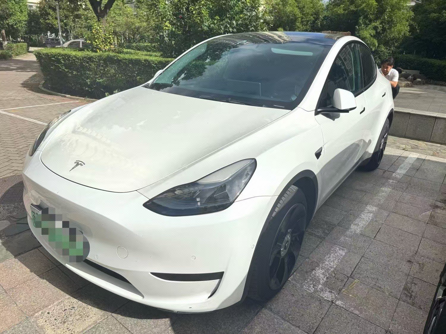 Tesla Model Y 2023 Tesla Model Y 2023 car image