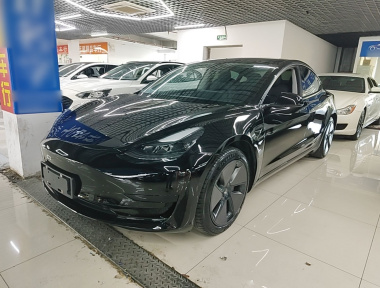 Tesla Model 3 2021 Tesla Model 3 2021 immagine di auto