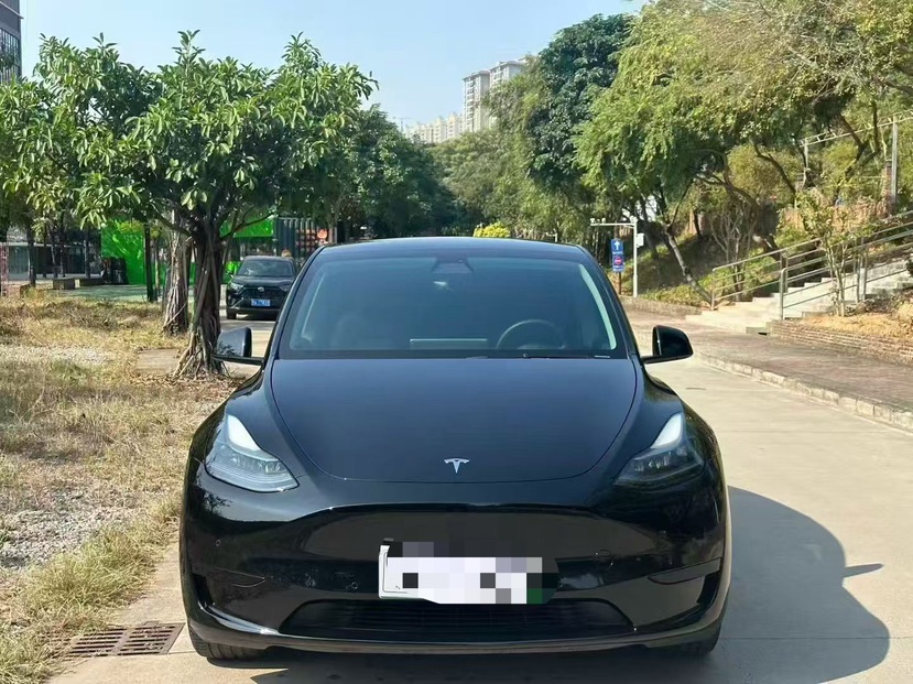 Tesla Model Y 2022 #2 Tesla Model Y 2022 car image #2