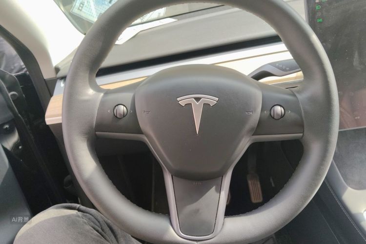 Tesla Model Y 2023 car image #12
