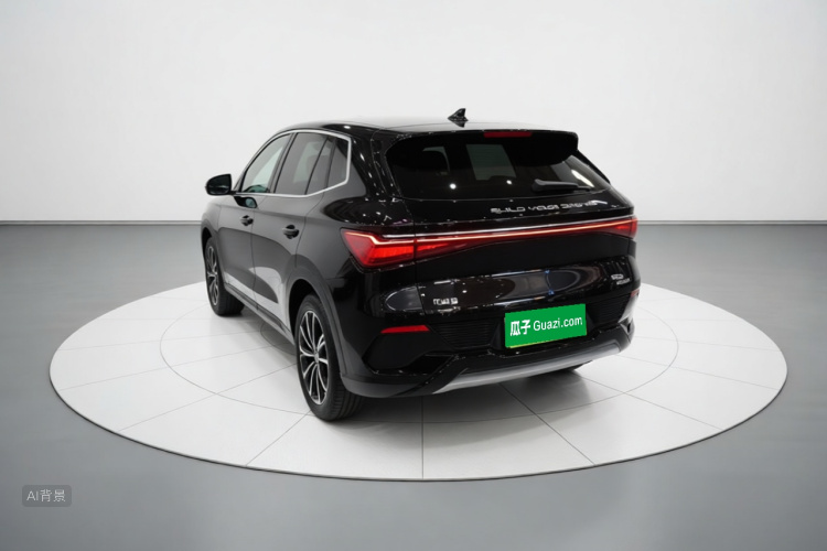 BYD Yuan Plus 2024 car image #5
