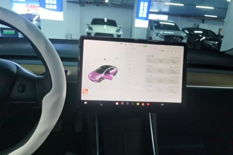 Tesla Model 3 2020 #13 Tesla Model 3 2020 car image #13