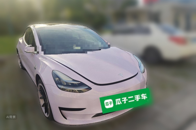 Tesla Model 3 2020 car image #4
