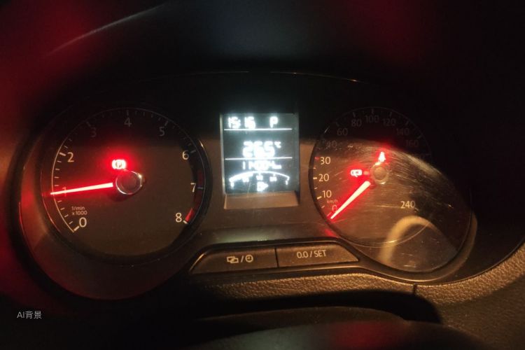 Volkswagen Polo 2019 car image #14