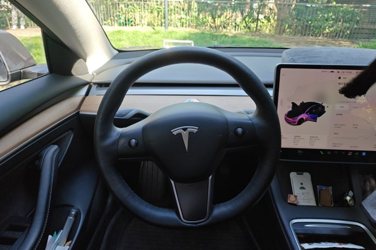 Tesla Model 3 2021 #11 Tesla Model 3 2021 car image #11