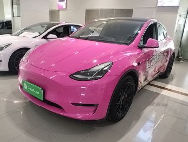 Tesla Model Y 2021 Tesla Model Y 2021 car image