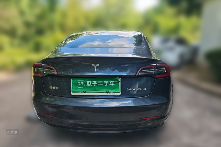 Tesla Model 3 2020 car image #6