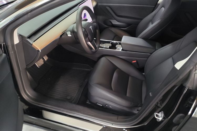 Tesla Model 3 2020 car image #15