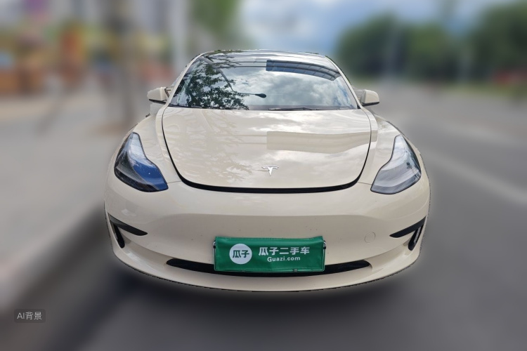 Tesla Model 3 2022 car image #3