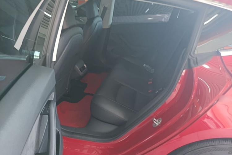 Tesla Model 3 2020 car image #17