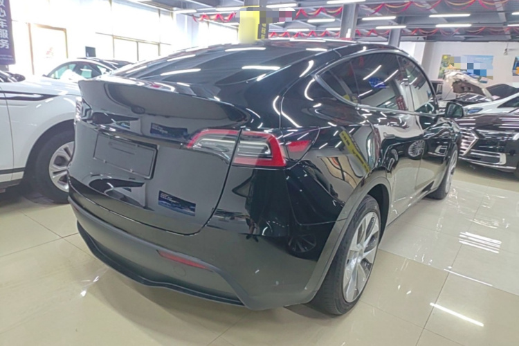 Tesla Model Y 2021 #5 Tesla Model Y 2021 car image #5