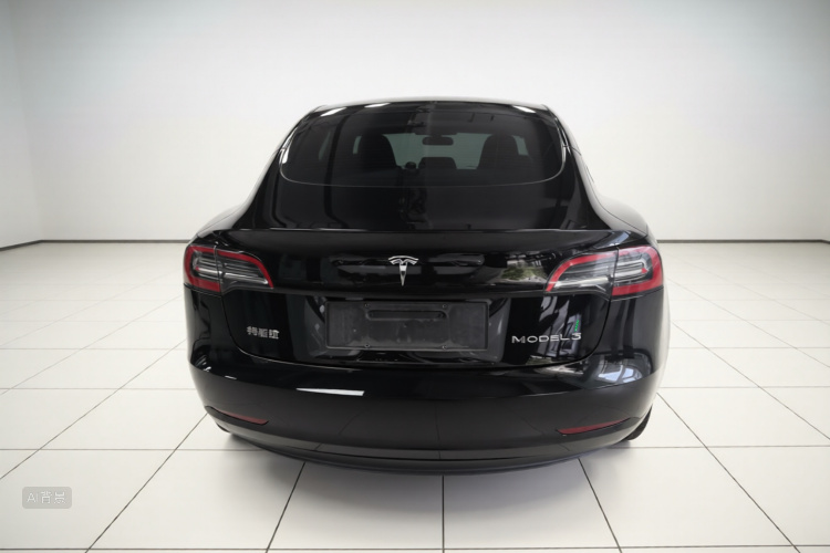 Tesla Model 3 2021 #6 Tesla Model 3 2021 car image #6