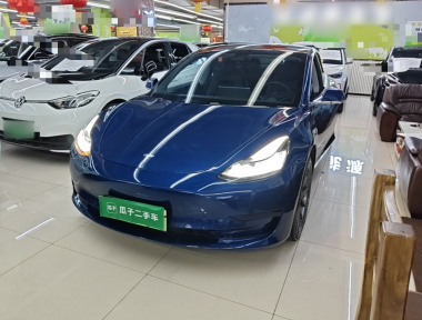 Tesla Model 3 2020 Tesla Model 3 2020 immagine di auto