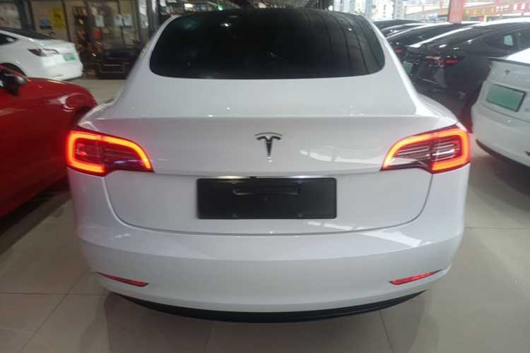 Tesla Model 3 2021 #6 Tesla Model 3 2021 car image #6