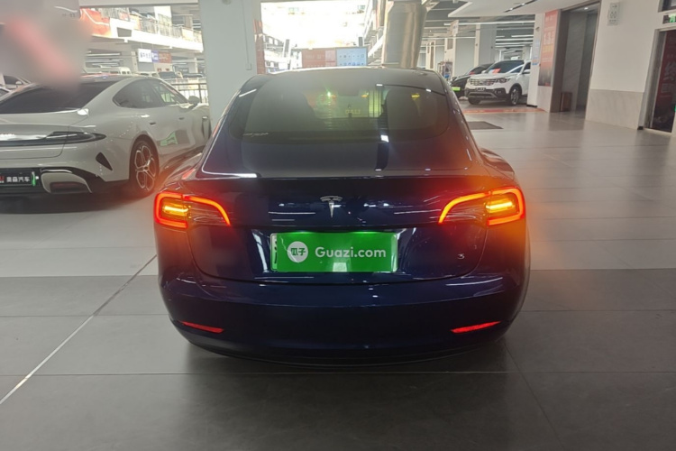 Tesla Model 3 2021 car image #6