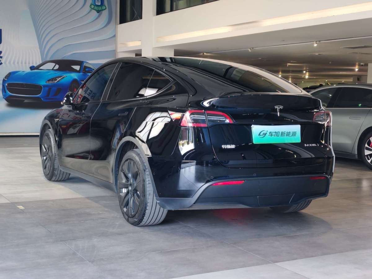 Tesla Model Y 2023 #7 Tesla Model Y 2023 car image #7