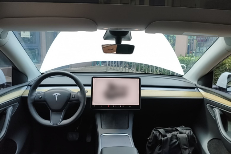 Tesla Model Y 2023 car image #10