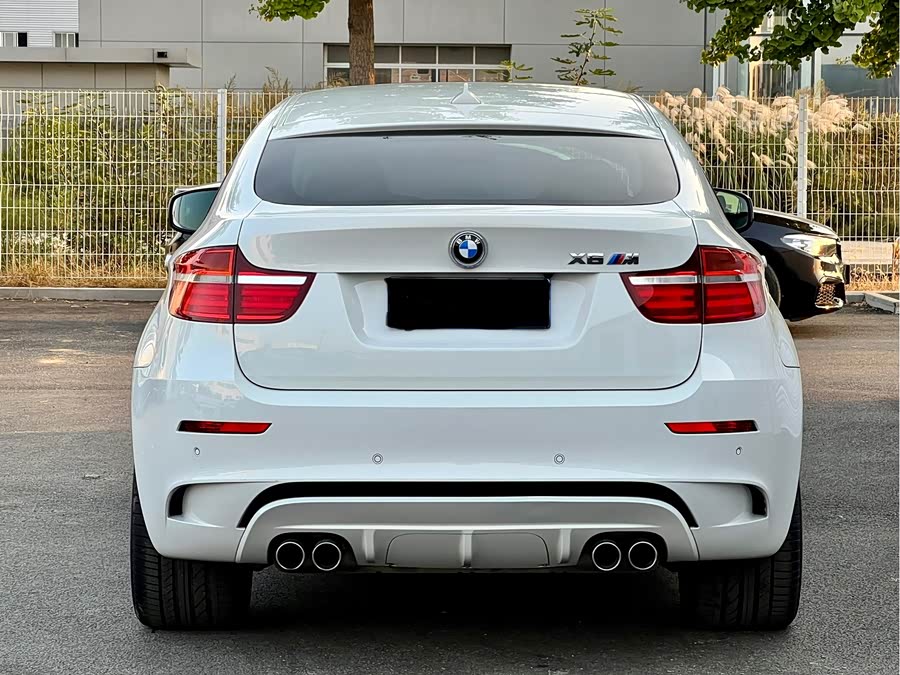 BMW X6 M 2012 car image #14