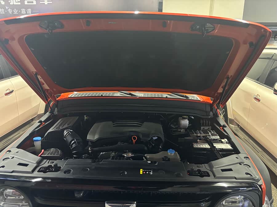 Tank 300 2022 car image #14