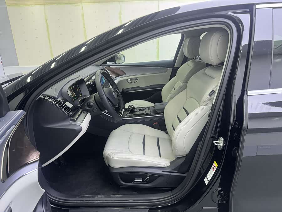 BYD e9 2021 car image #14