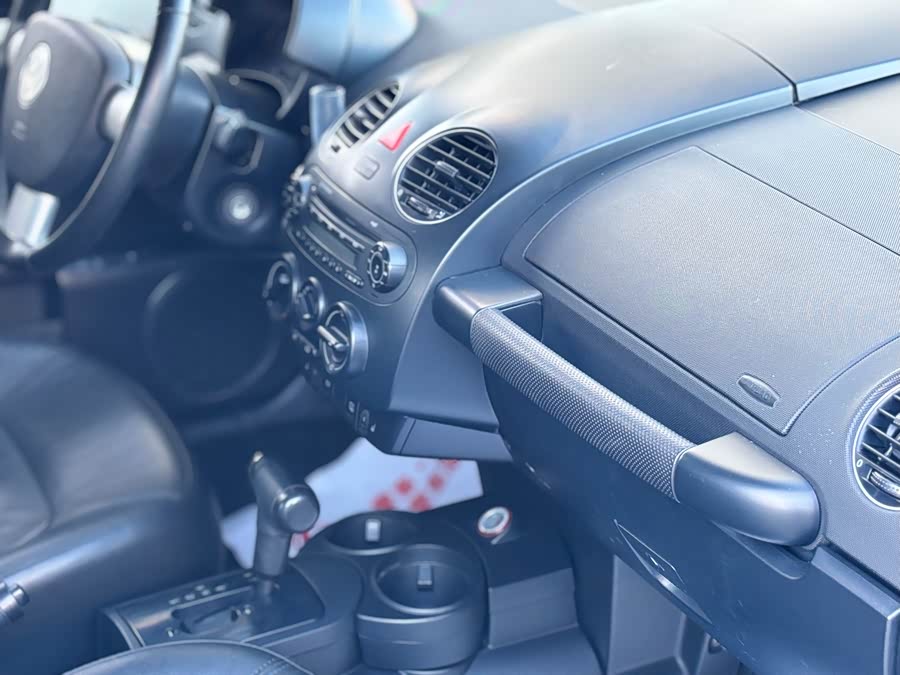 Volkswagen Beetle 2009 immagine di auto #14