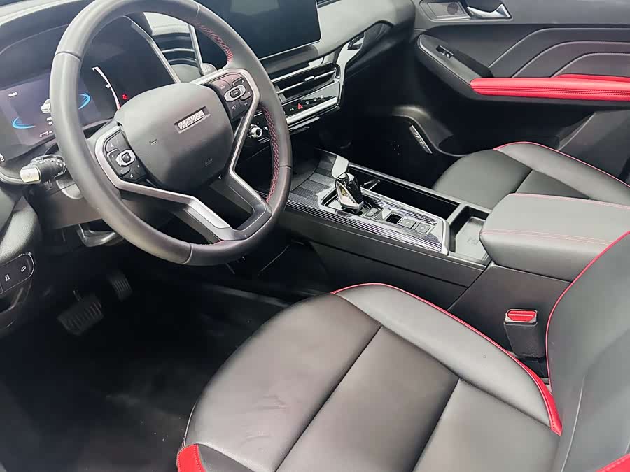 Haval Rabbit 2024 car image #14