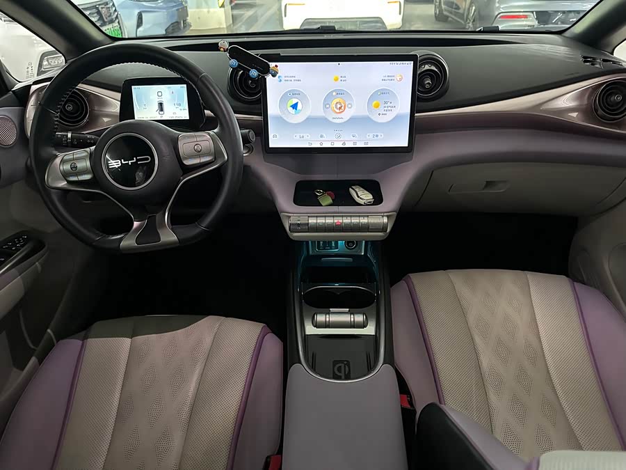 BYD Dolphin 2023 imagem de carro #14