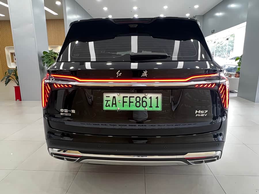 HongQi HS7 PHEV 2024 car image #14