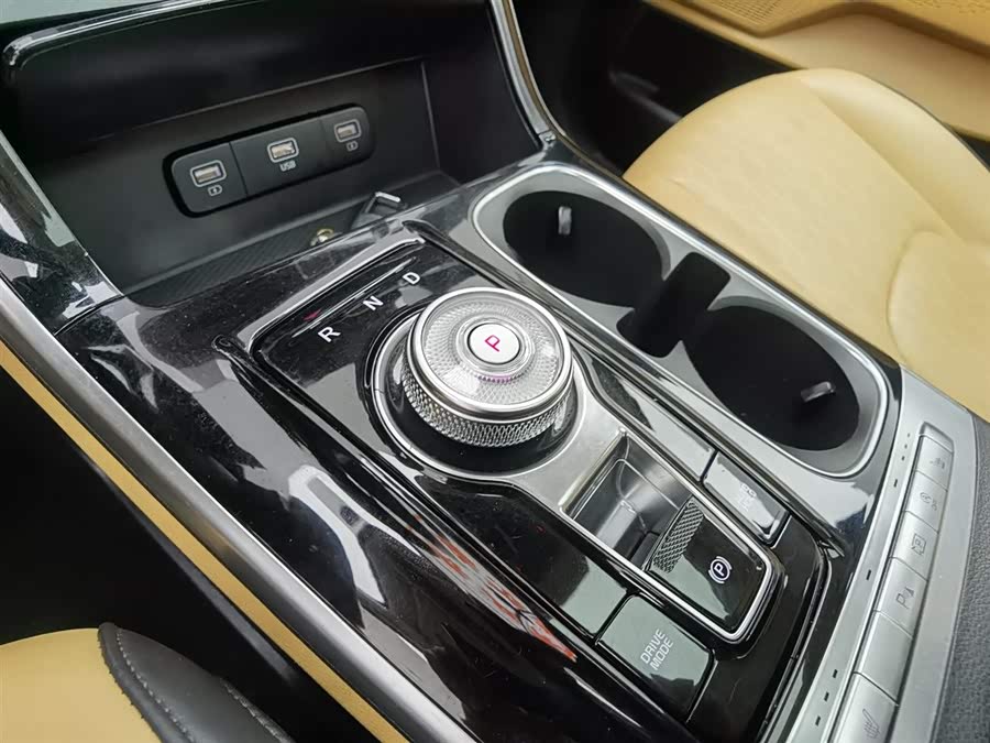 起亚 嘉华 2021 汽车图片 #14