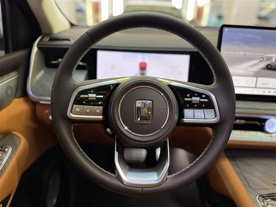 Tank 500 New Energy 2024 immagine di auto #14