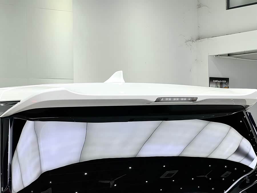 Toyota Alphard 2021 car image #14