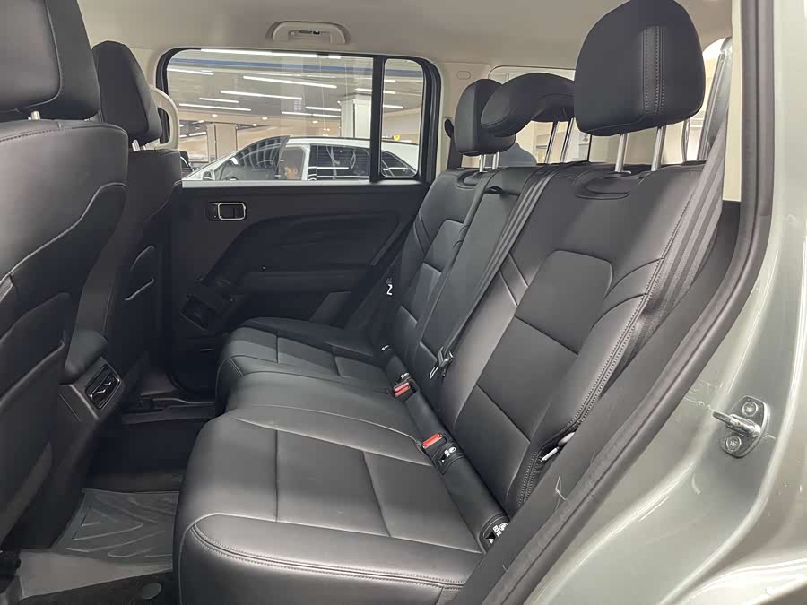 Haval Raptor New Energy 2023 car image #14