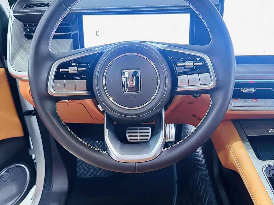 Tank 500 New Energy 2024 car image #14