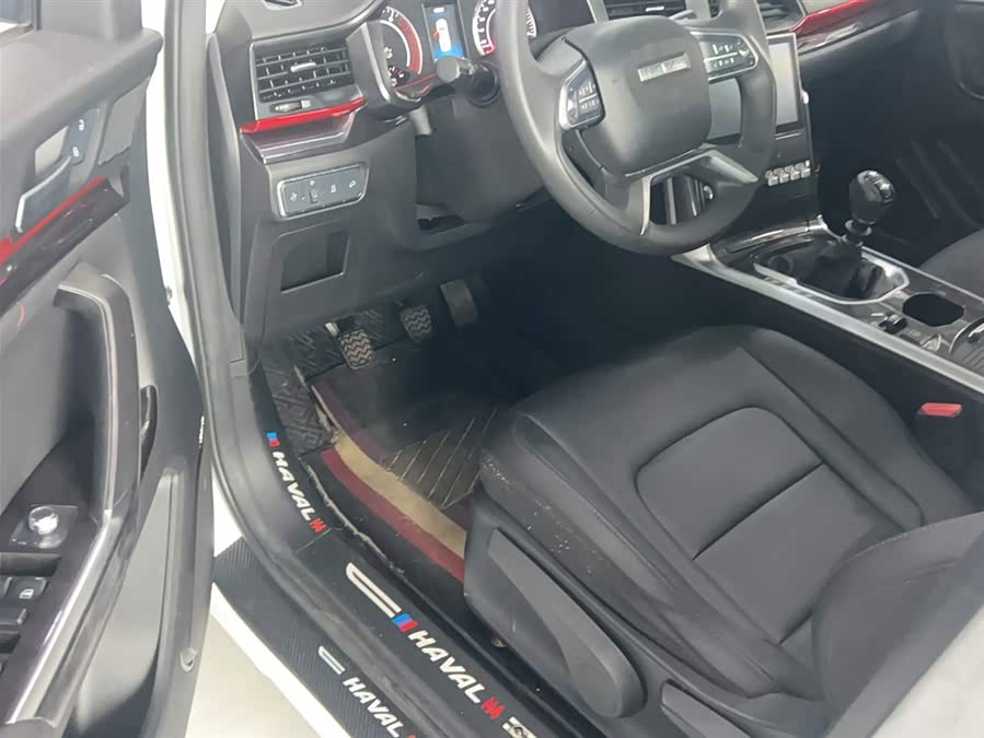 Haval H4 2020 immagine di auto #14