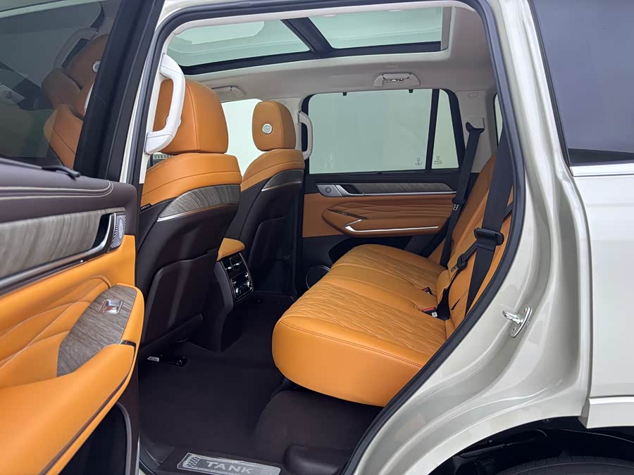 Tank 500 New Energy 2024 immagine di auto #14