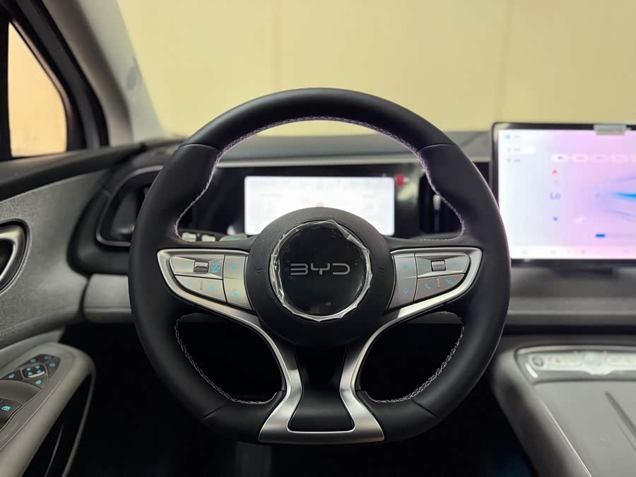 BYD Sea Lion 05 EV 2025 car image #14